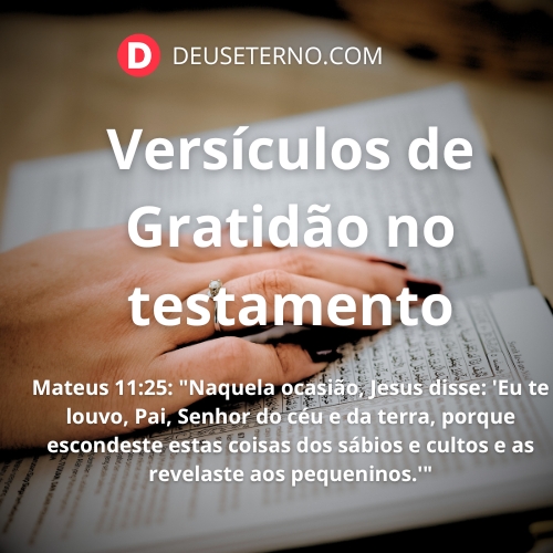versículos de gratidão novo testamento